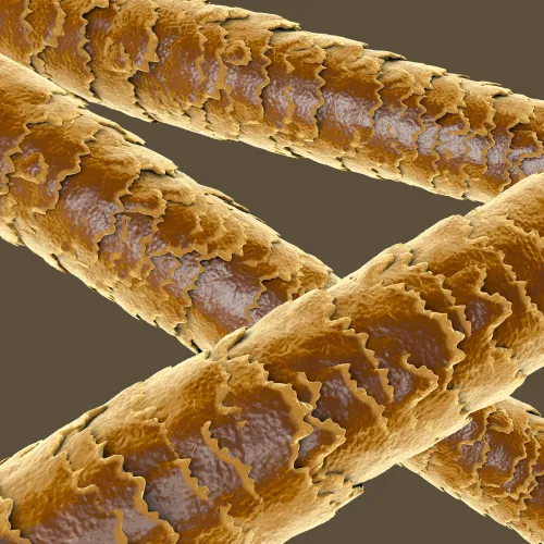 مكونات IlSaloneDiMilano Keratin